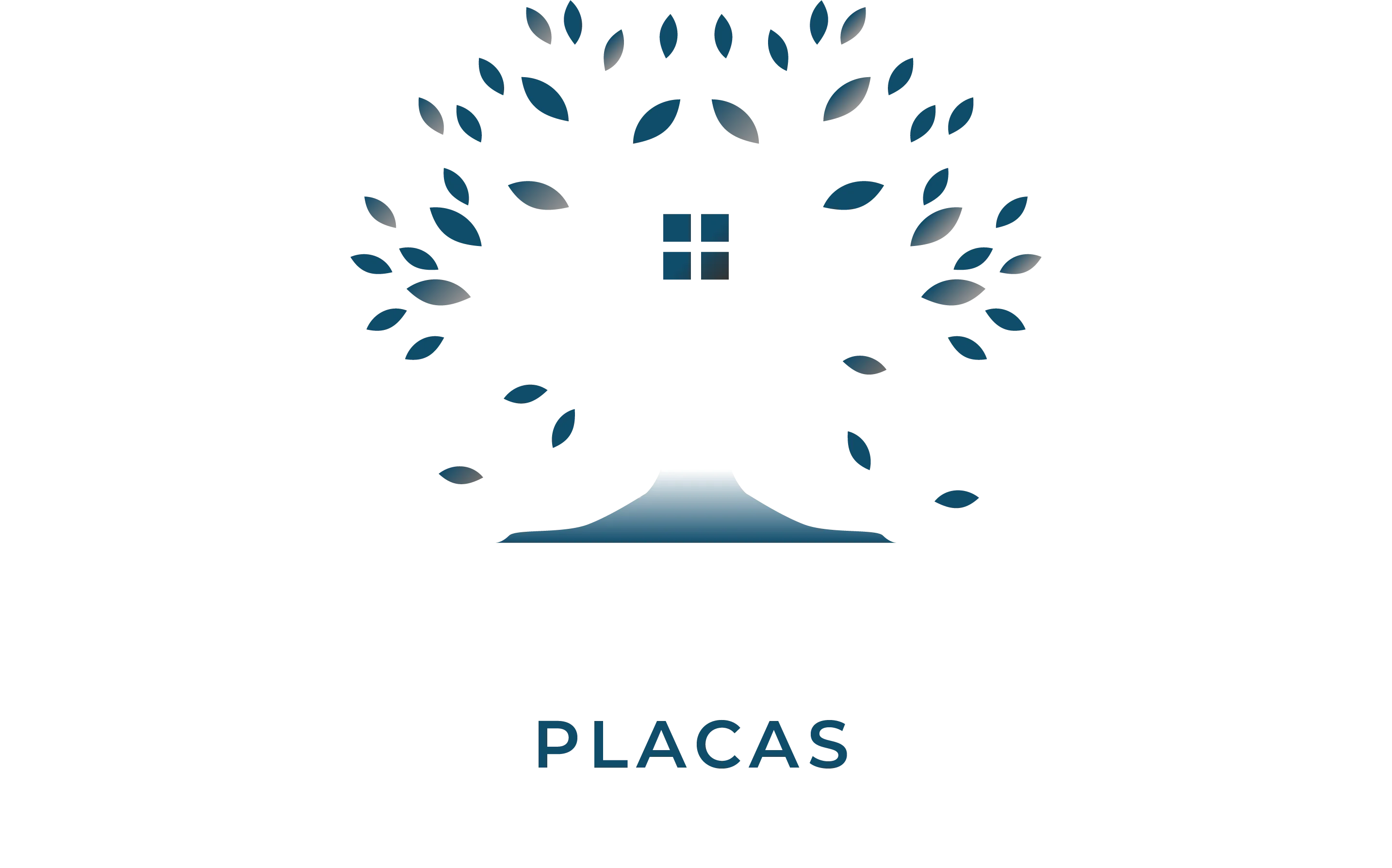 pvplacas.com