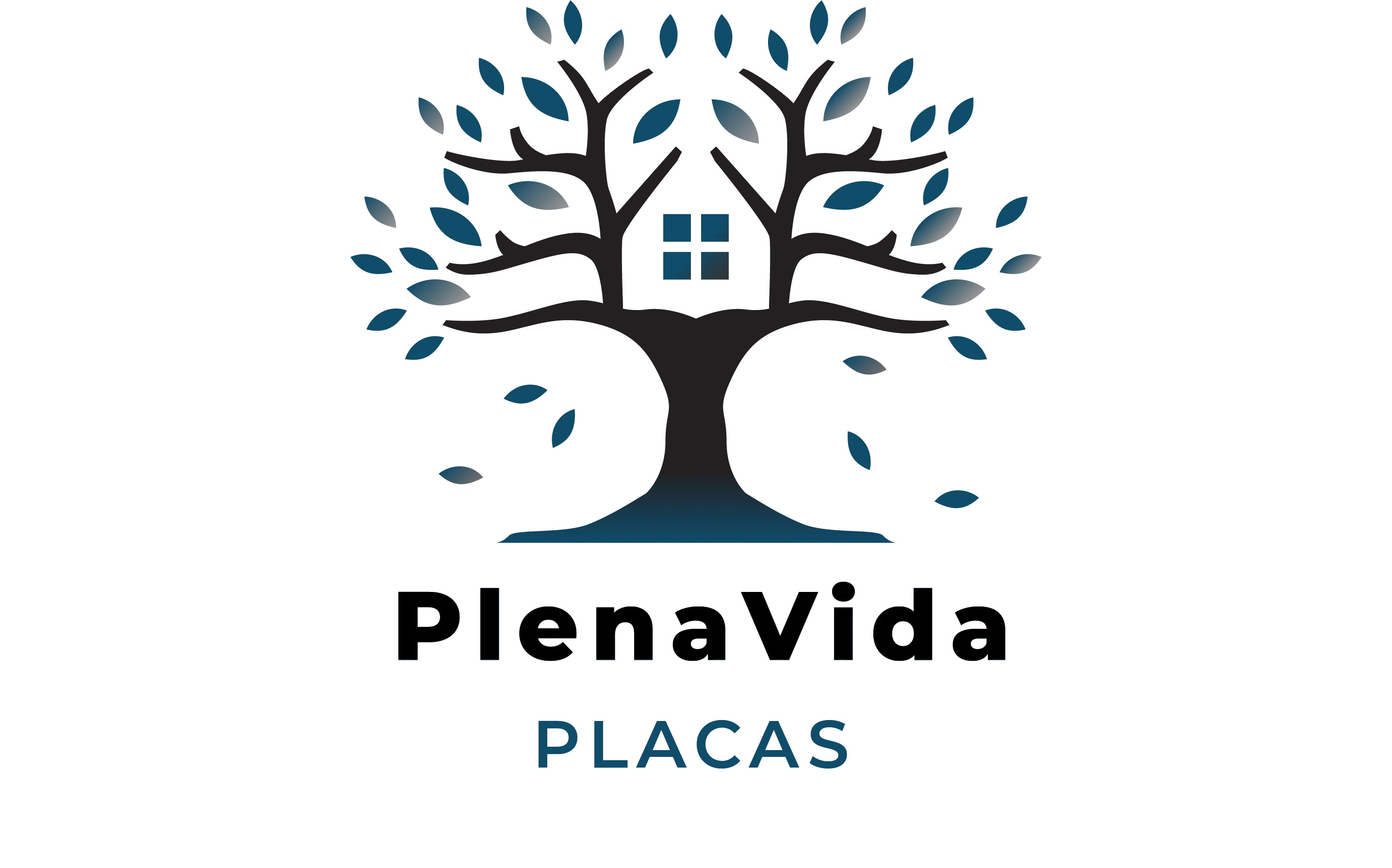 pvplacas.com