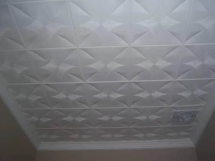 Proyecto Placon2